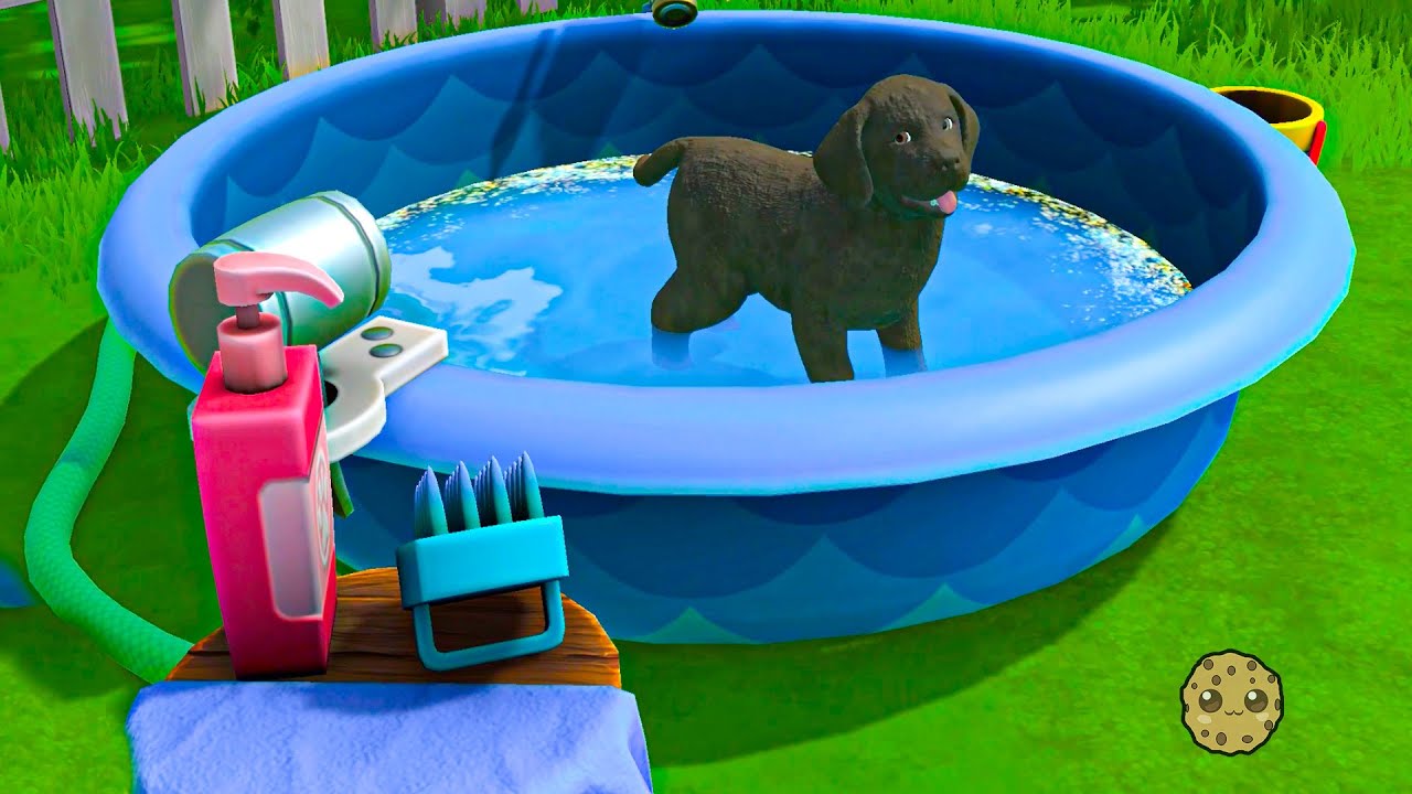 Puppy Island Beach Discovery & New Puppy Rescue Guide