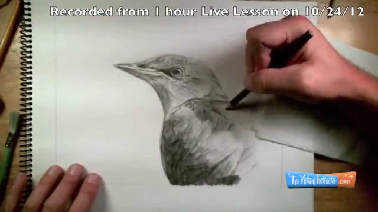 TheVirtualInstructor Review: Complete Drawing Course Analysis