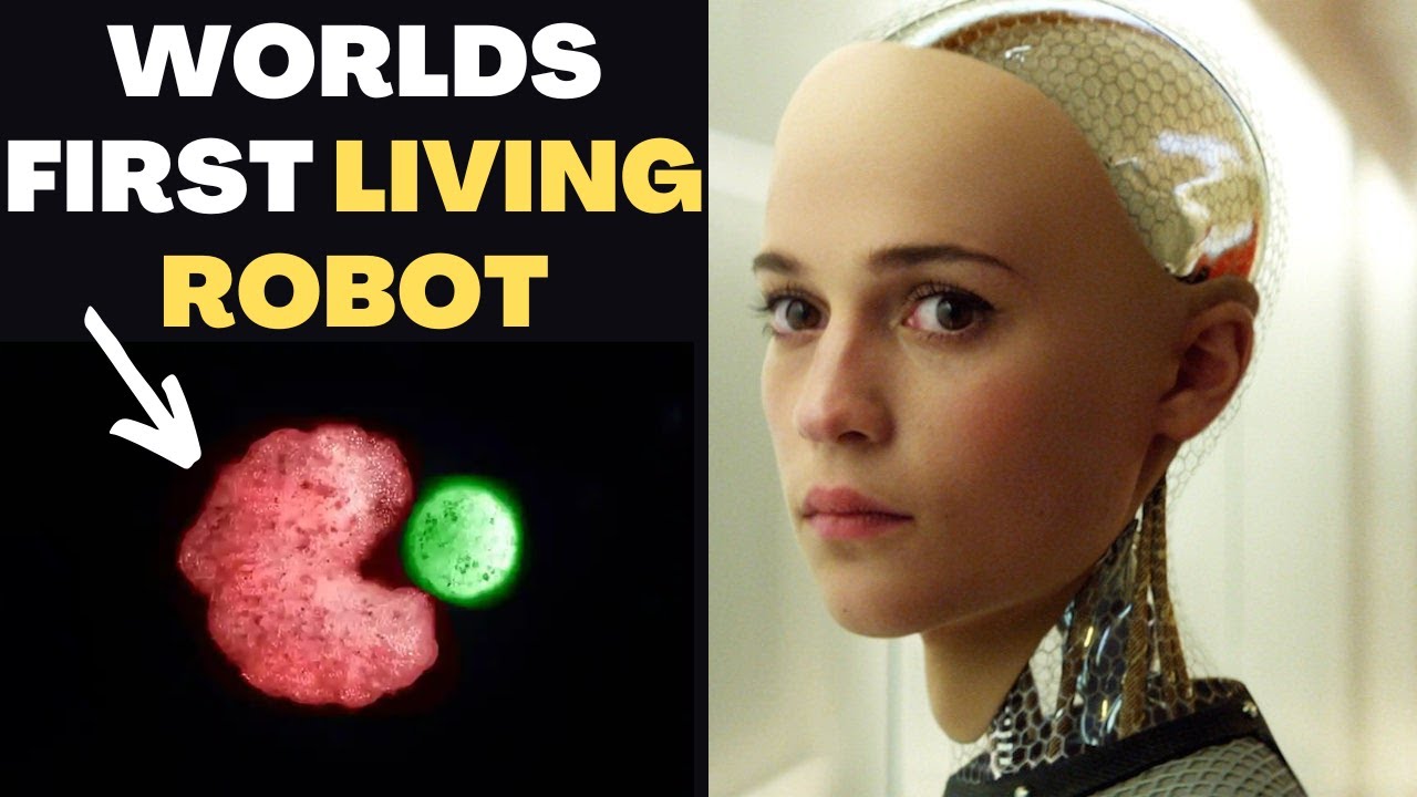 Xenobot Self-Replication Science: Reality Beyond Robot Hype