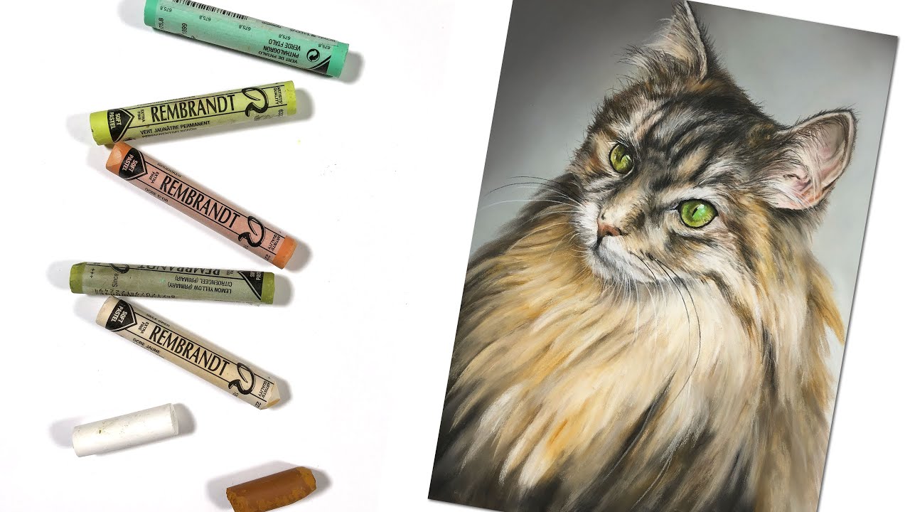 Master Realistic Cat Fur with Pastels: Step-by-Step Guide
