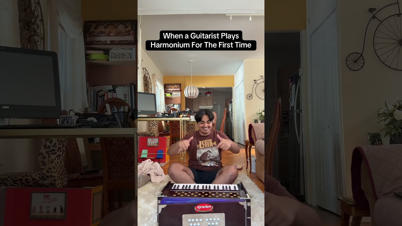 Harmonium vs Accordion: Key Differences Guitarists Must Know