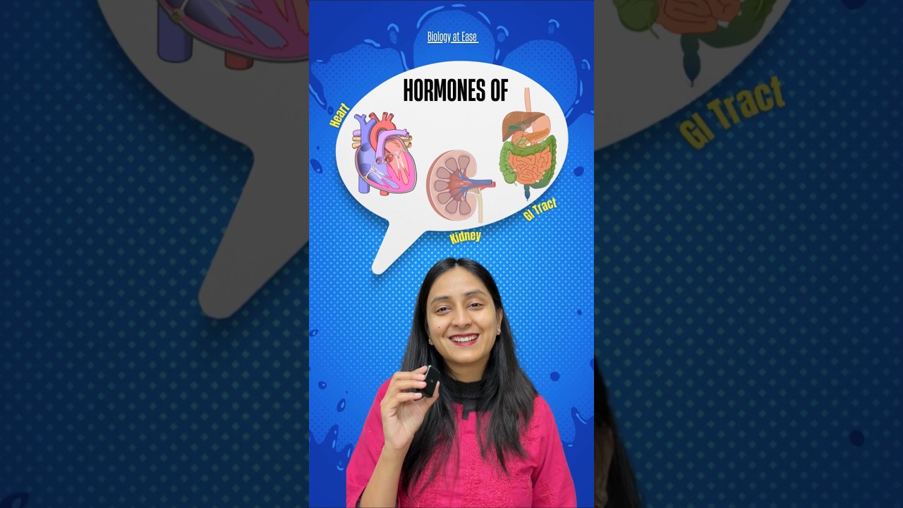 Hormones Beyond Endocrine Glands: Key Functions & Regulation