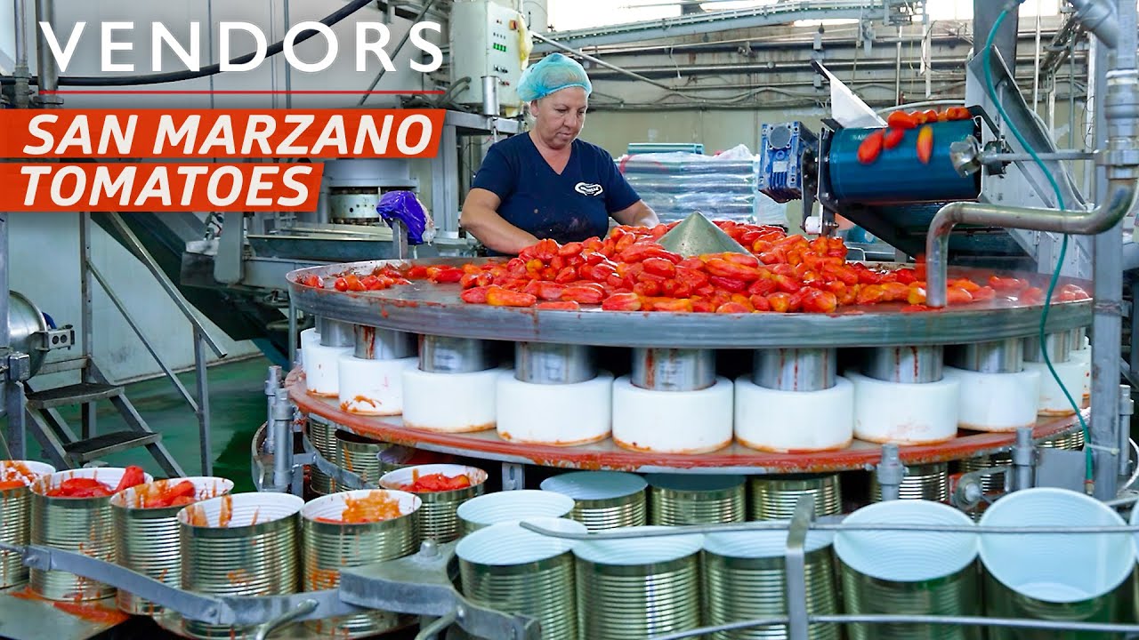 San Marzano Tomatoes: Authentic DOP Secrets & Culinary Uses