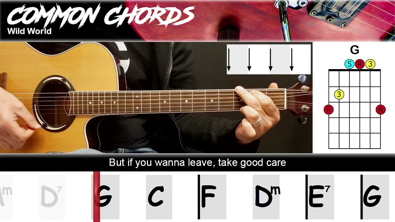 Wild World Lyrics Meaning: Life Advice and Emotional Insight