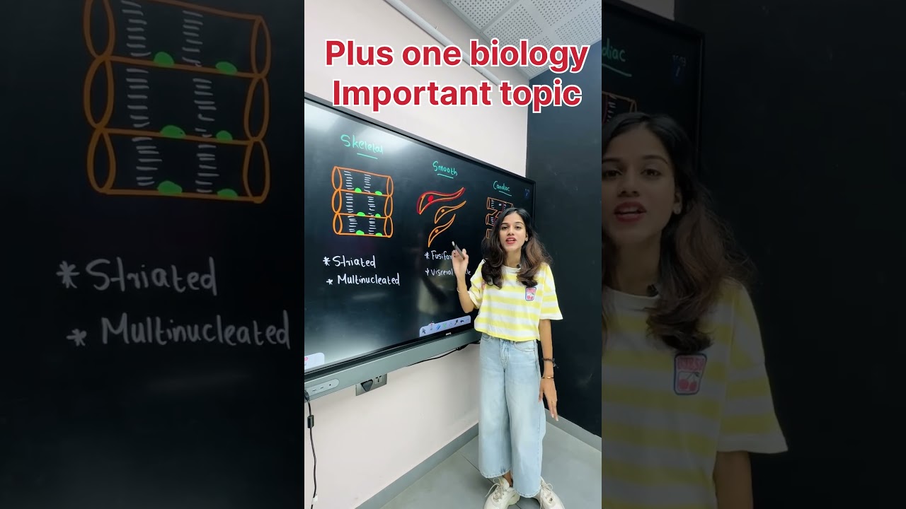 Muscle Types Explained: Structure, Function & Identification