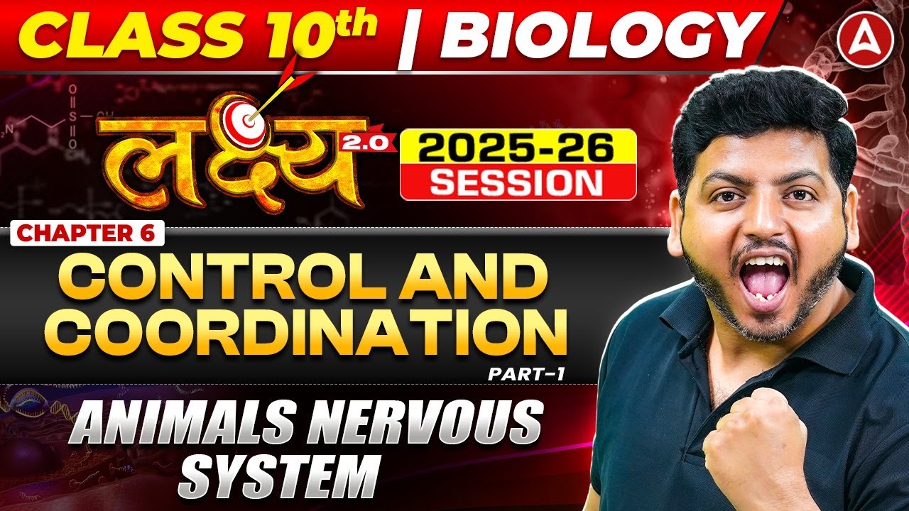 Neuron Structure and Nervous System Control Explained Simply