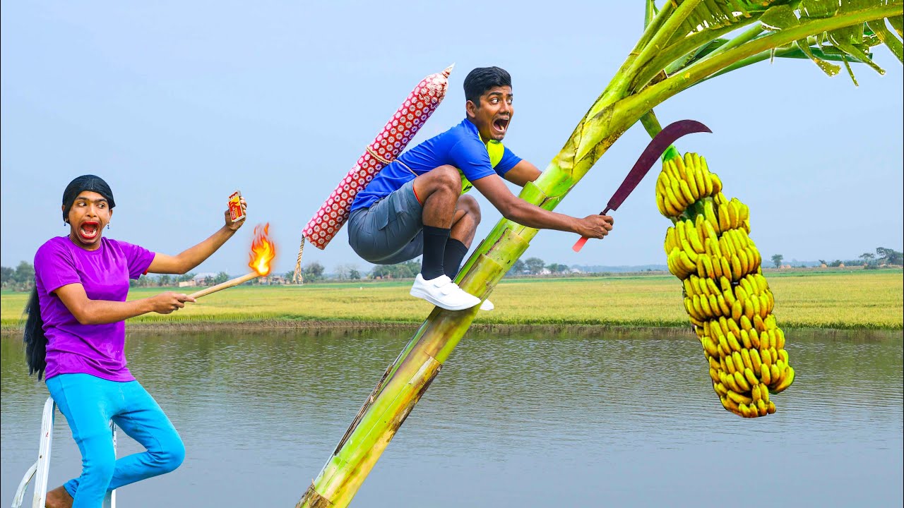 Understanding Lyrics: Cultural Expressions in Hindi Music