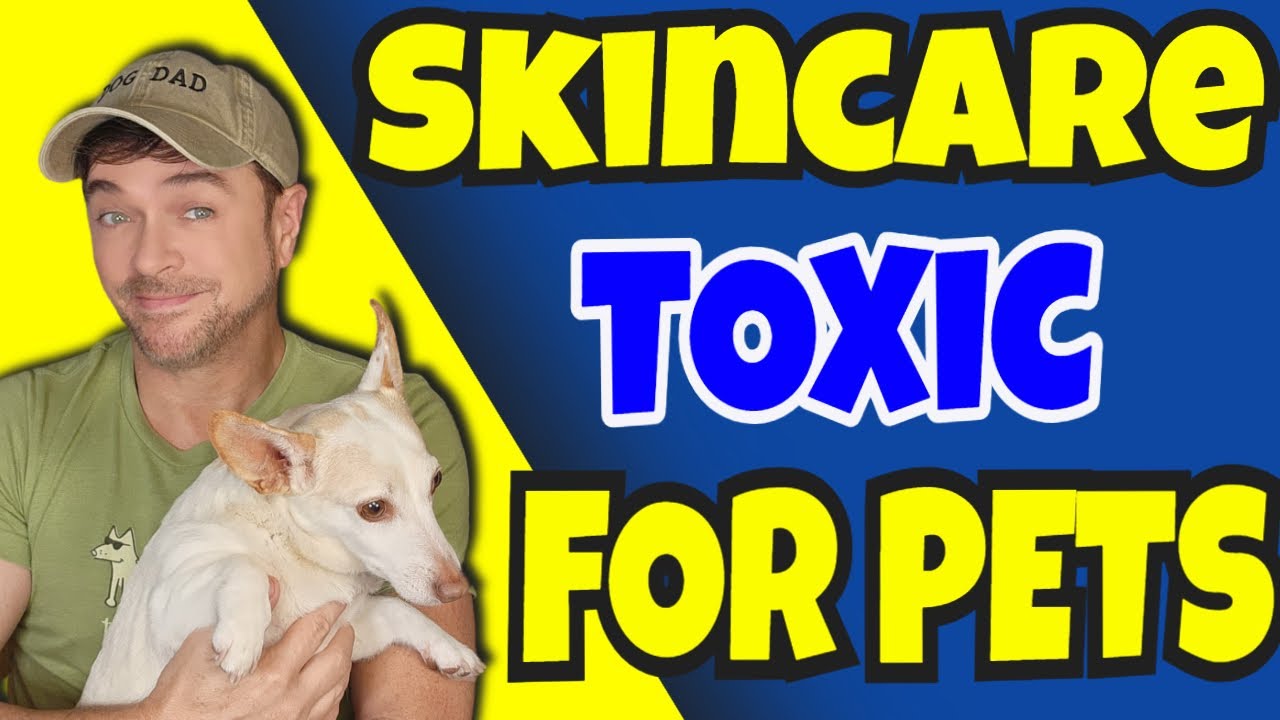 Toxic Skincare Ingredients for Dogs: Essential Safety Guide