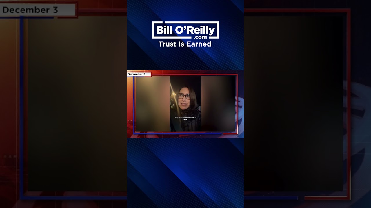 Minnesota Funds Controversy: Somali Community Defense and Accountability