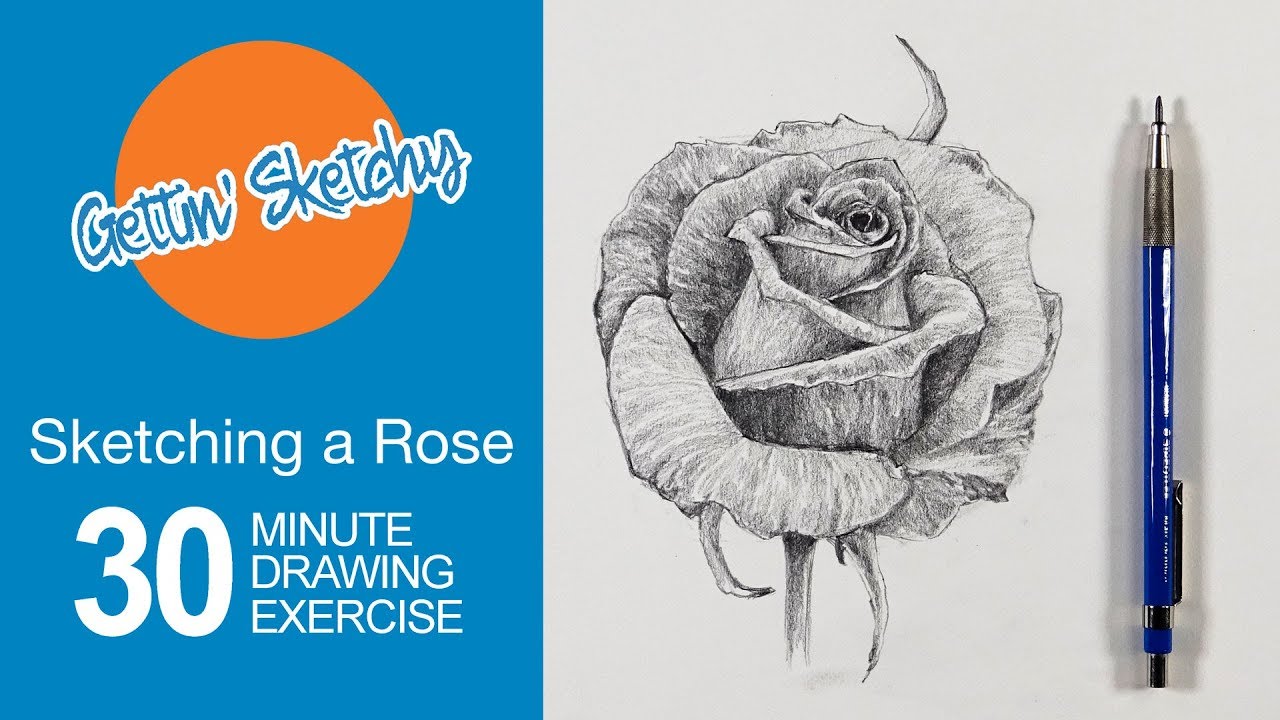 Quick Rose Sketch: Learn to Draw in 30 Minutes