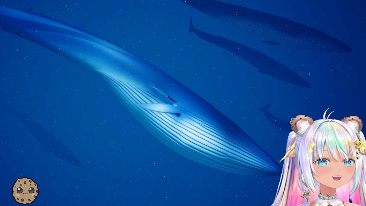 Swim with Whales: Magical Underwater Encounter & Ocean Secrets
