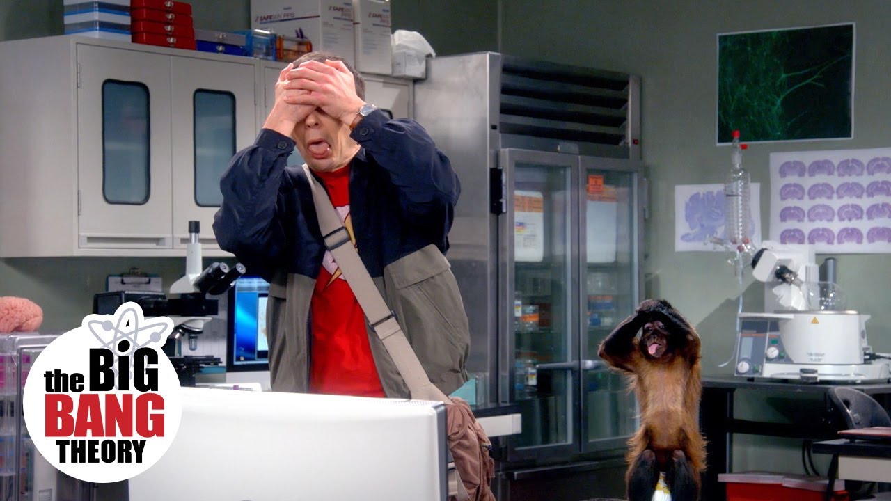 Understanding Primate Fear Responses: Science vs. Sheldon's Experiment