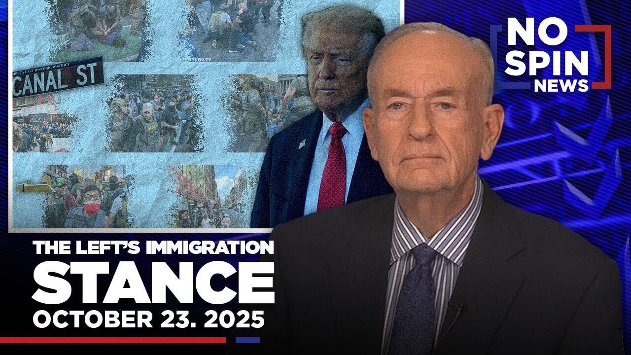ICE Raids Deepen America's Political Divide: Fact-Based Analysis