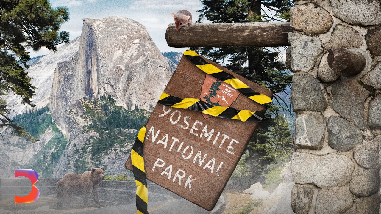 Yosemite Crisis: Fixing Aramark's National Park Failures