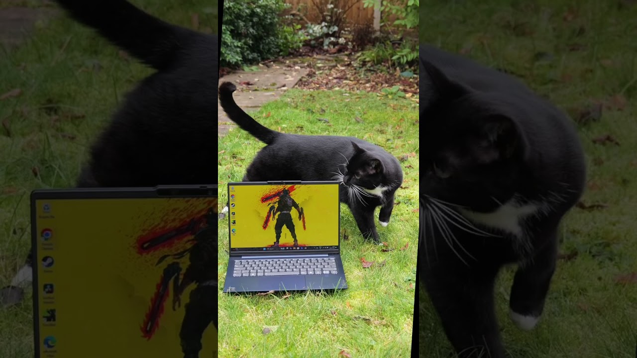 Lenovo IdeaPad Slim 5x Gen 9 Review: Budget Creator Laptop?