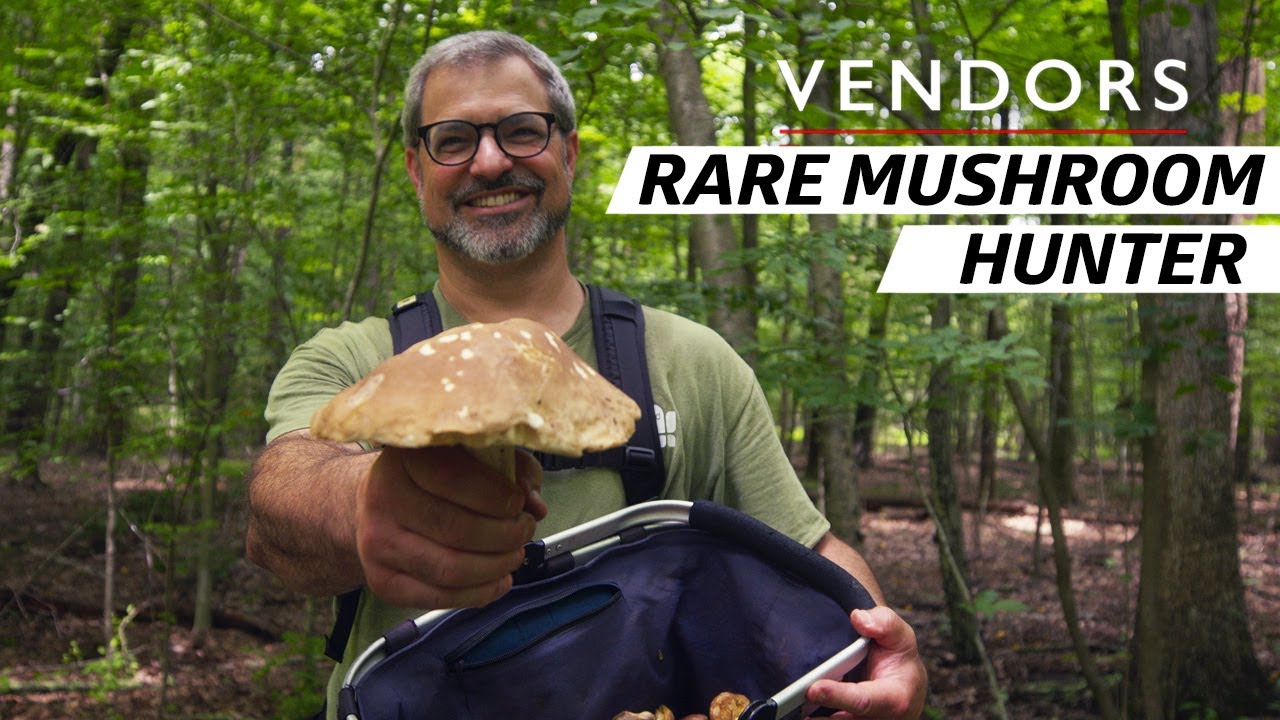 Wild Mushroom Foraging Guide: Safety, Nutrition & Expert Tips