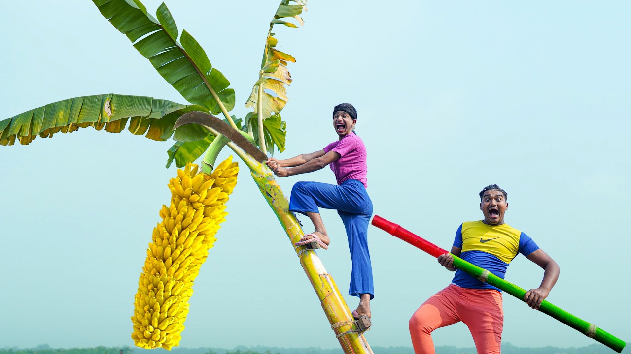 Unusable Video Transcript: Content Analysis Limitation