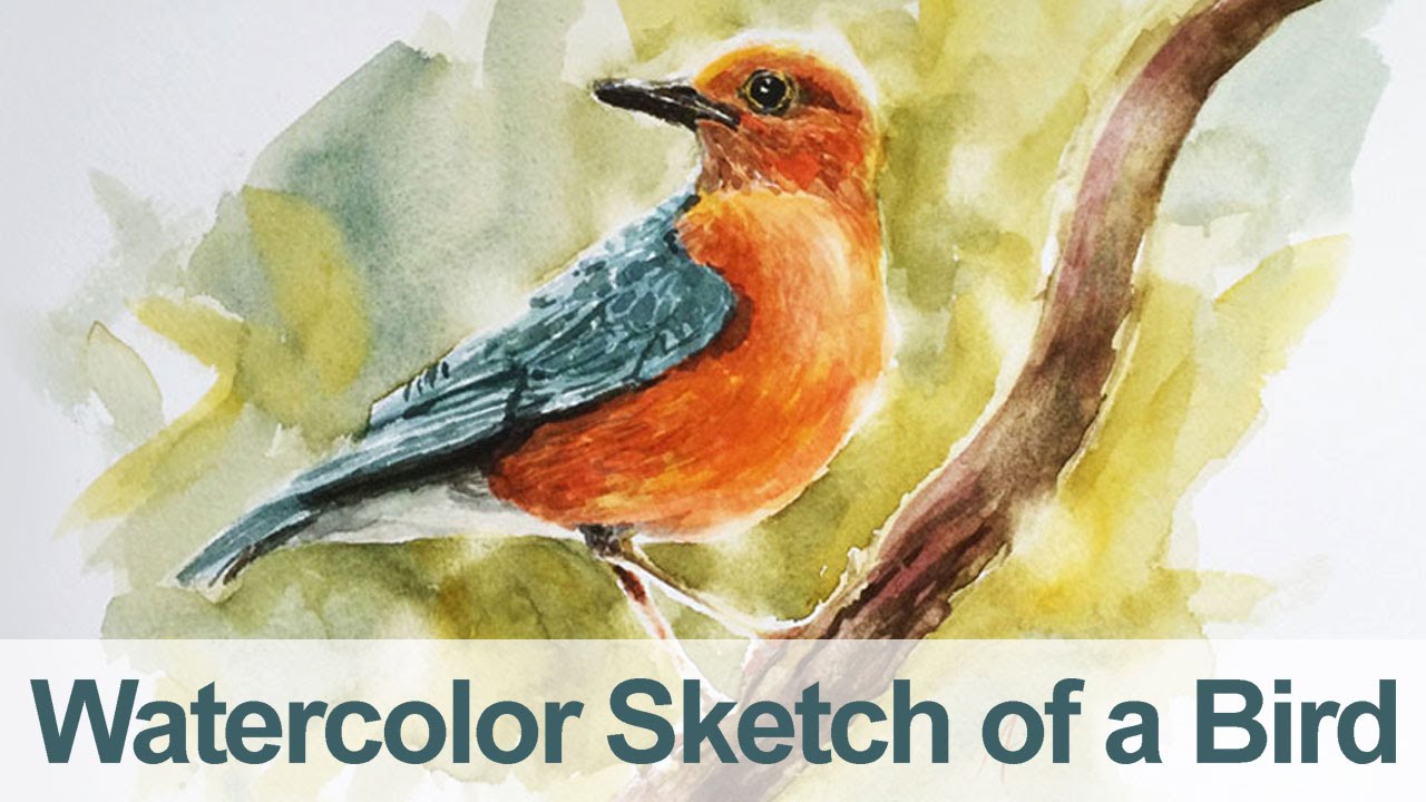 Master Watercolor Bird Painting: Step-by-Step Guide