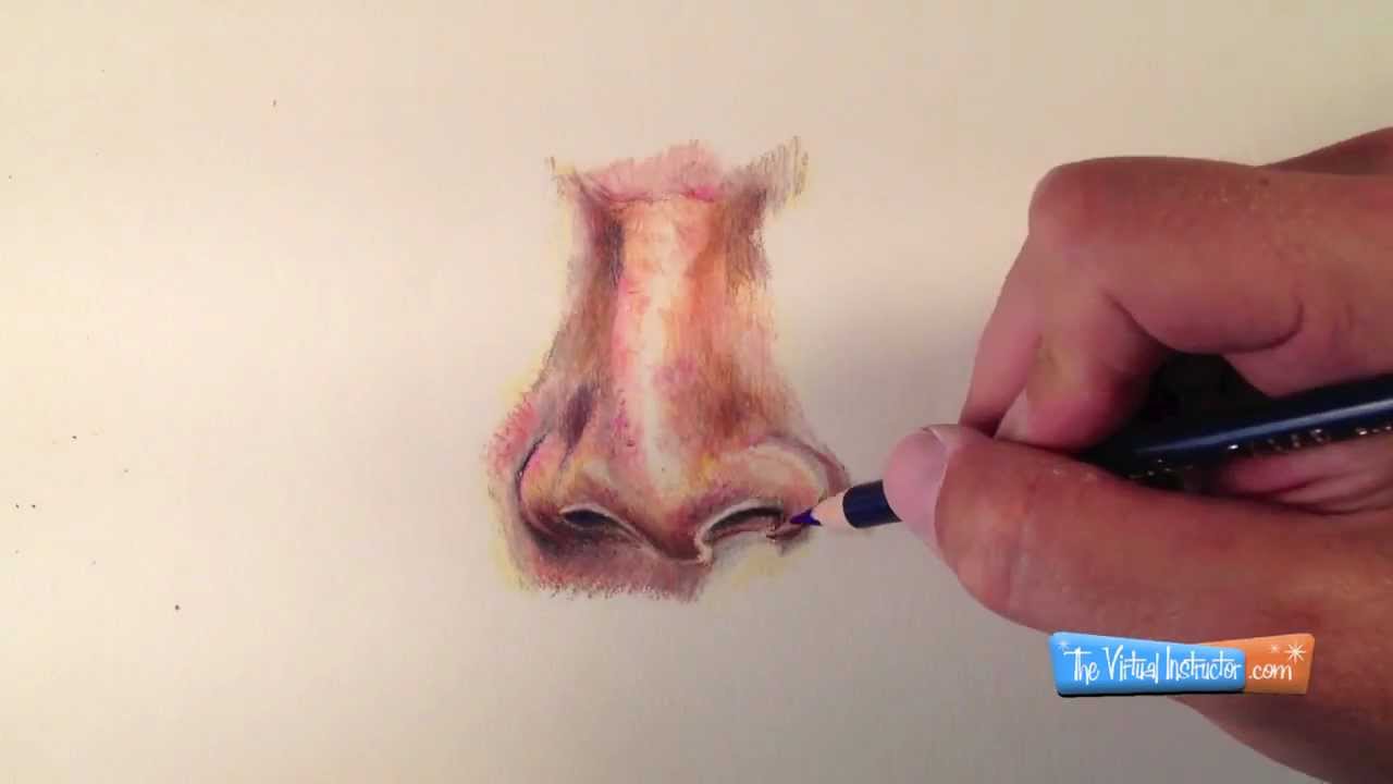 Master Realistic Nose Drawing with Colored Pencils