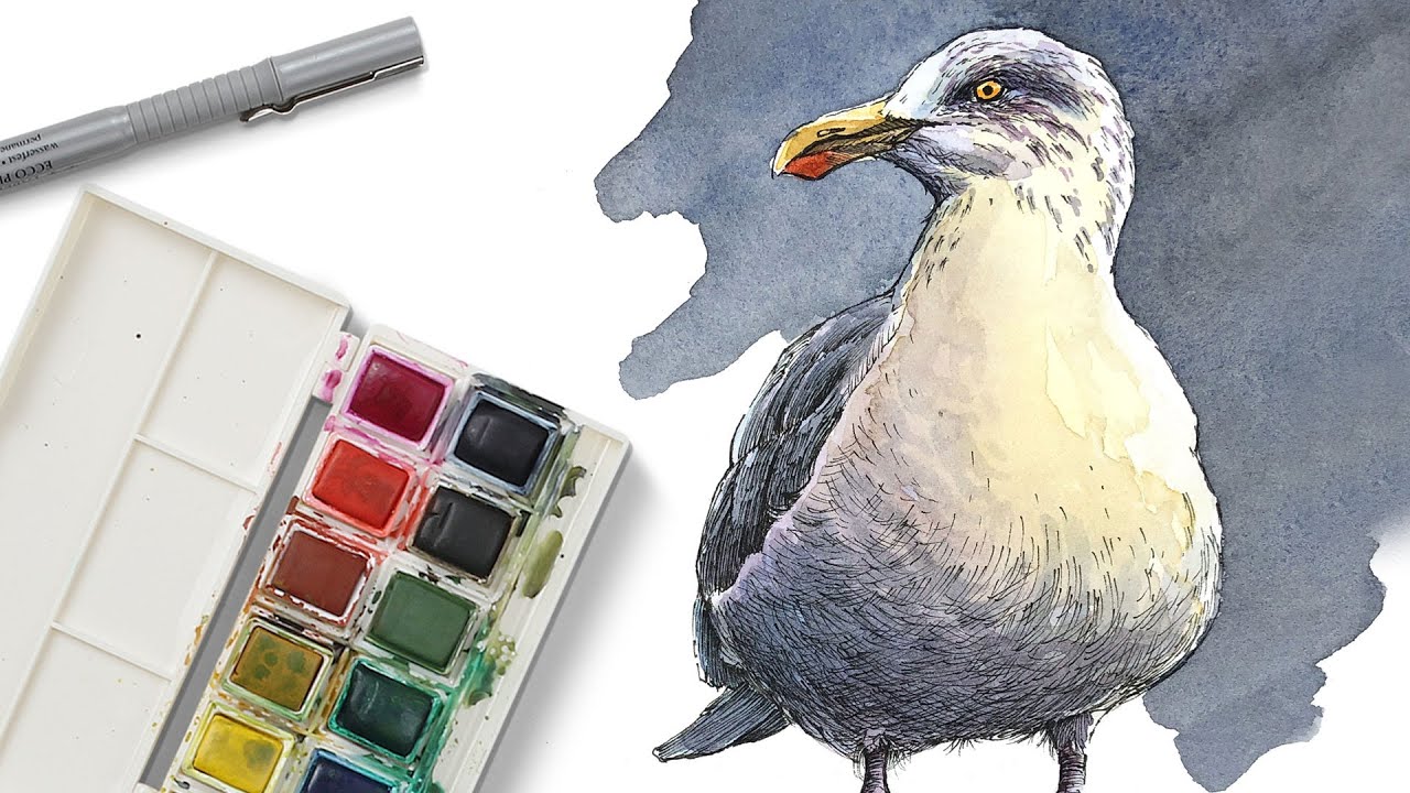 Pen, Ink & Watercolor Seagull: Step-by-Step Mixed Media Guide
