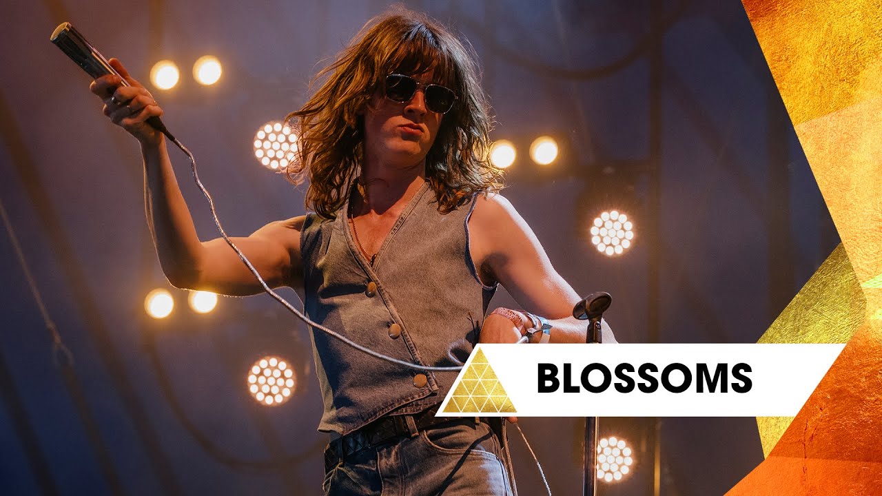 Why This Video Can't Be Converted to Article