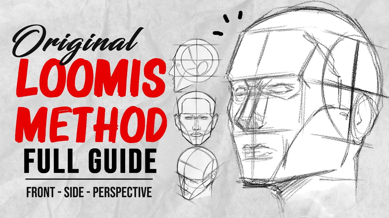 Master the Loomis Method: Draw Perfect Head Proportions Easily