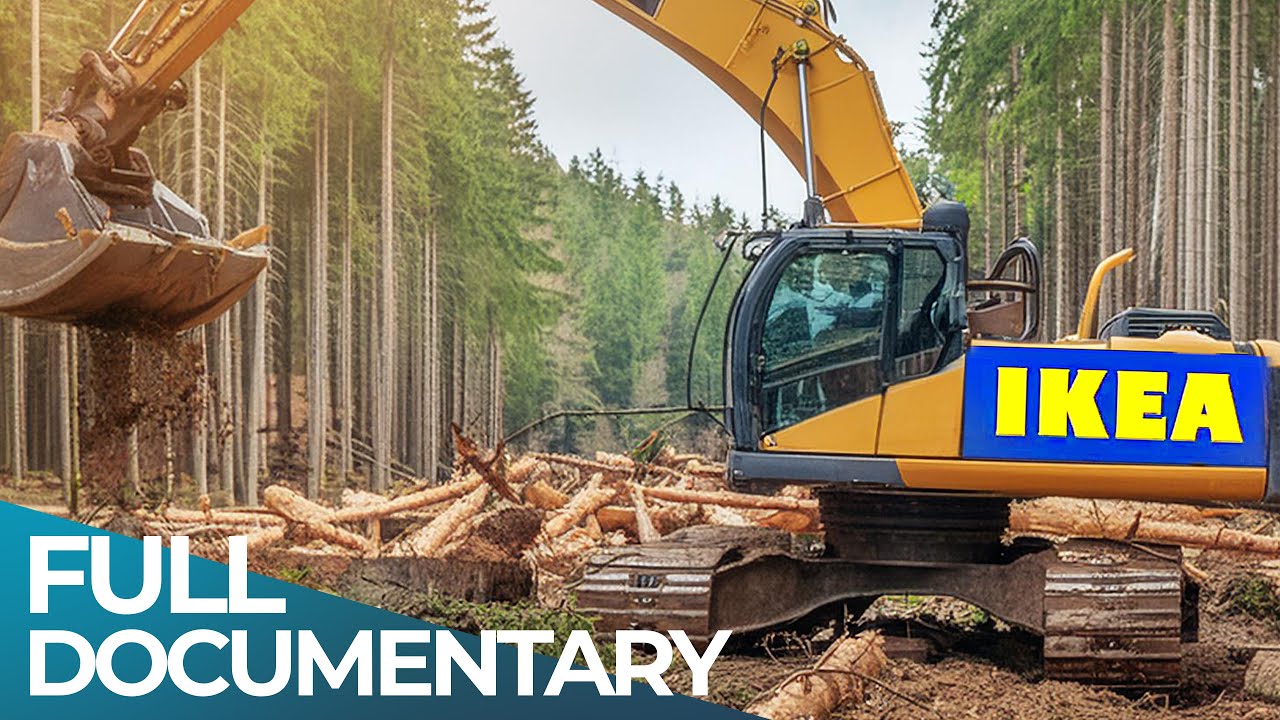 Ikea and APP Exposed: Truth Behind "Sustainable" Wood Products