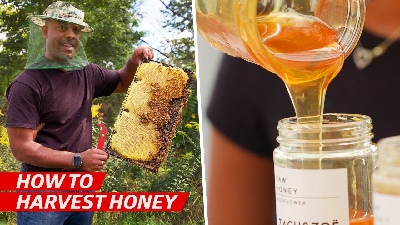 Beekeeping Essentials: Start Your Honey Business Successfully