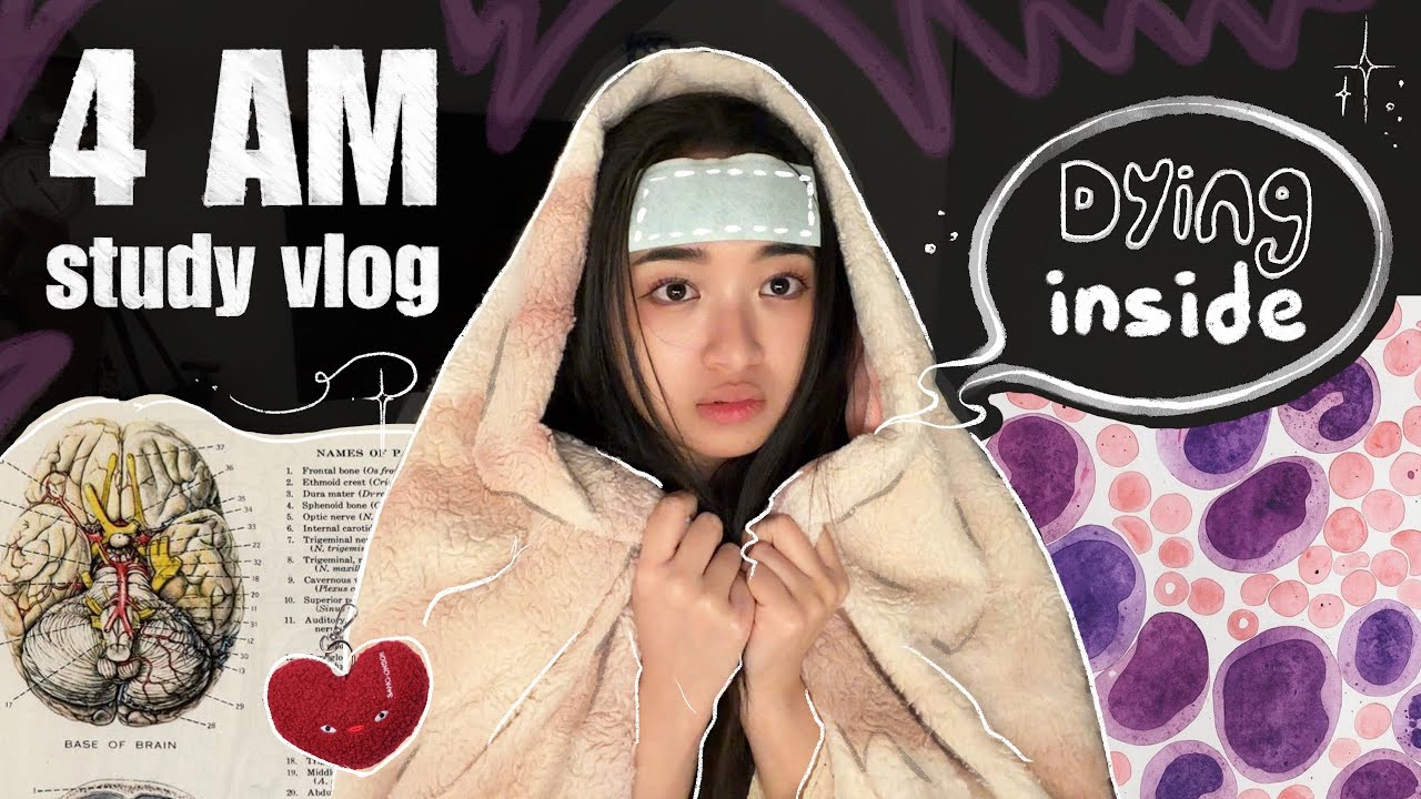 Student Life Balance: Study Tips, Health Hacks & Social Strategies