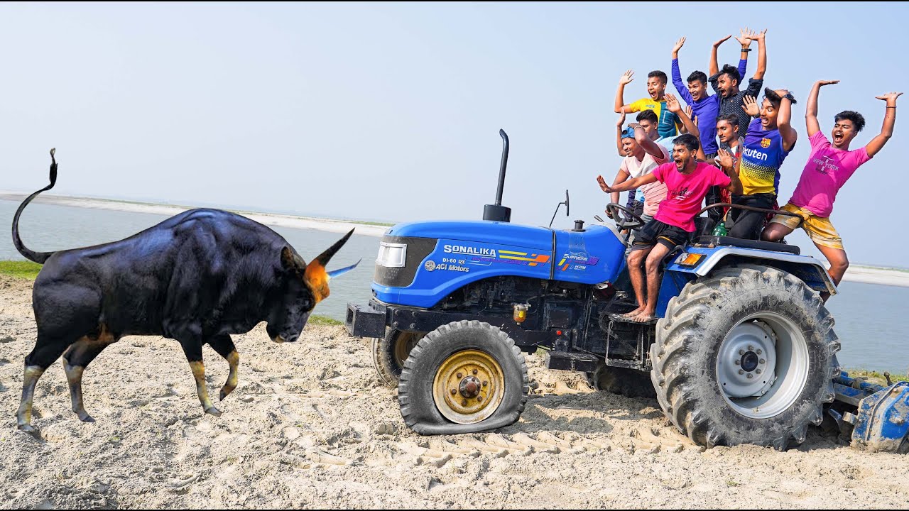 Mastering Daily Frustrations: Your Expert Coping Guide