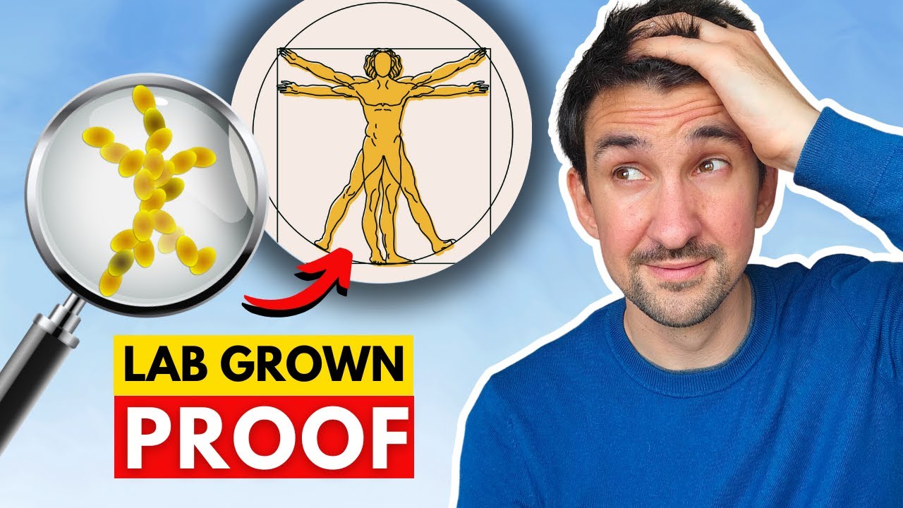 Yeast Evolution: How Scientists Recreated Multicellular Life