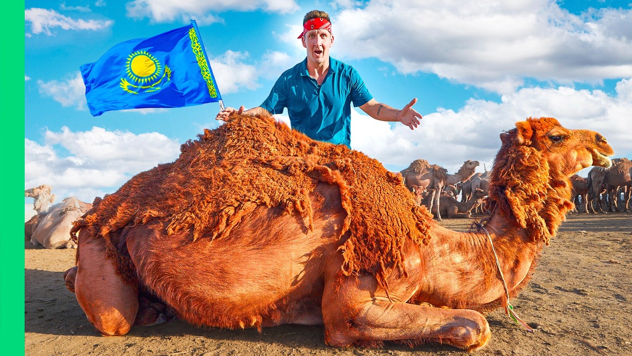 Kazakhstan Camel Farming: From Tradition to $Million Business