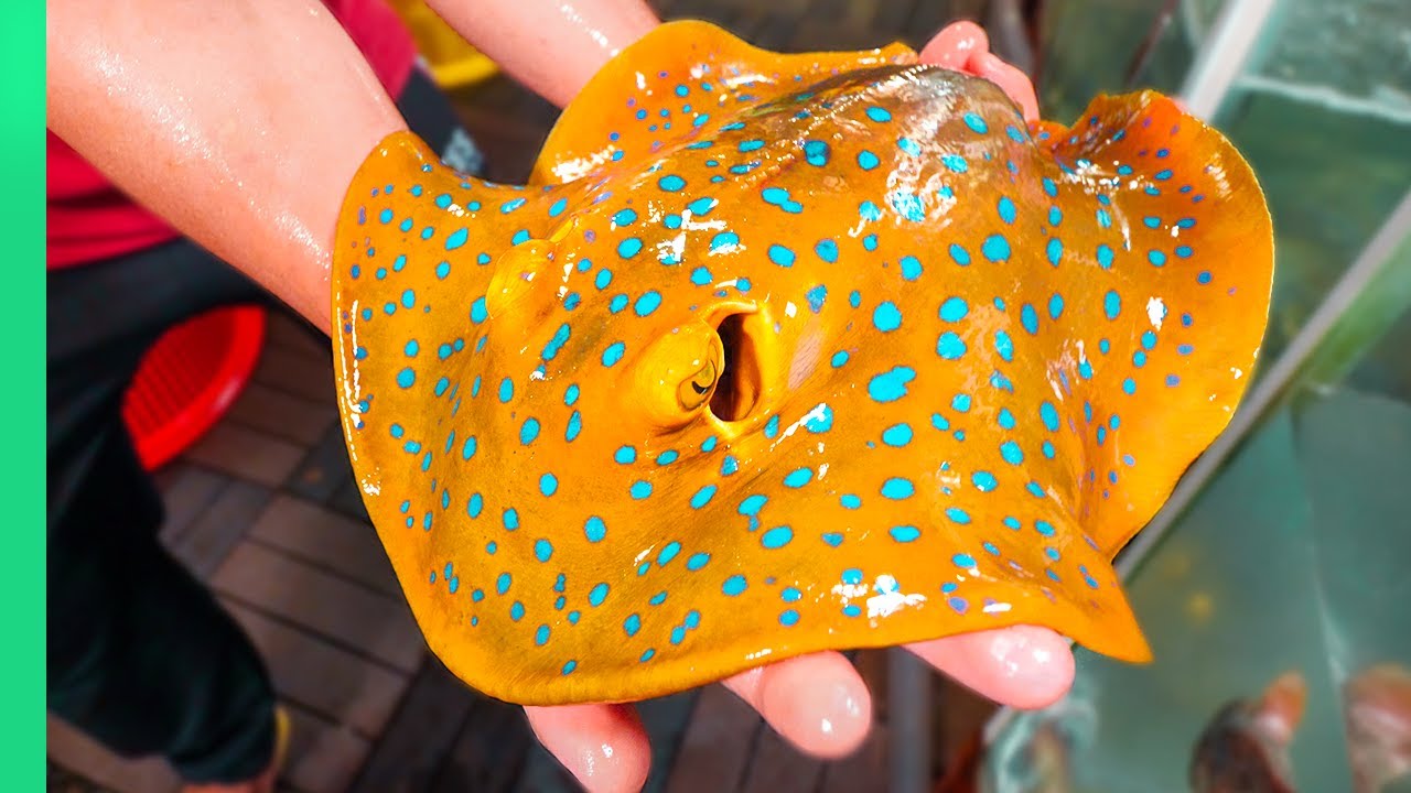 Eating Exotic Rays in Vietnam: Bizarre Seafood Secrets Revealed