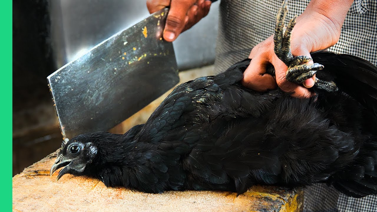 India Road Trip Food Adventure: Unique Dishes from Mumbai to Chennai