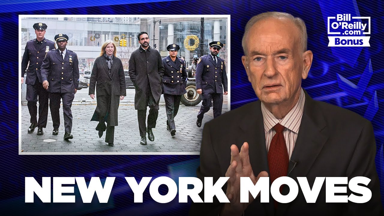 NYC Political Stability: Tish's Retention and Poll Insights