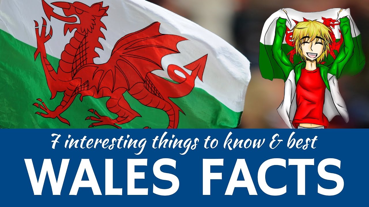 7 Incredible Welsh Culture & Nature Facts You Won't Believe