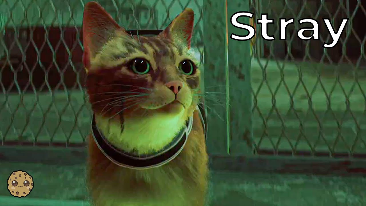 Stray Slums Transceiver Walkthrough & Lore Secrets Revealed