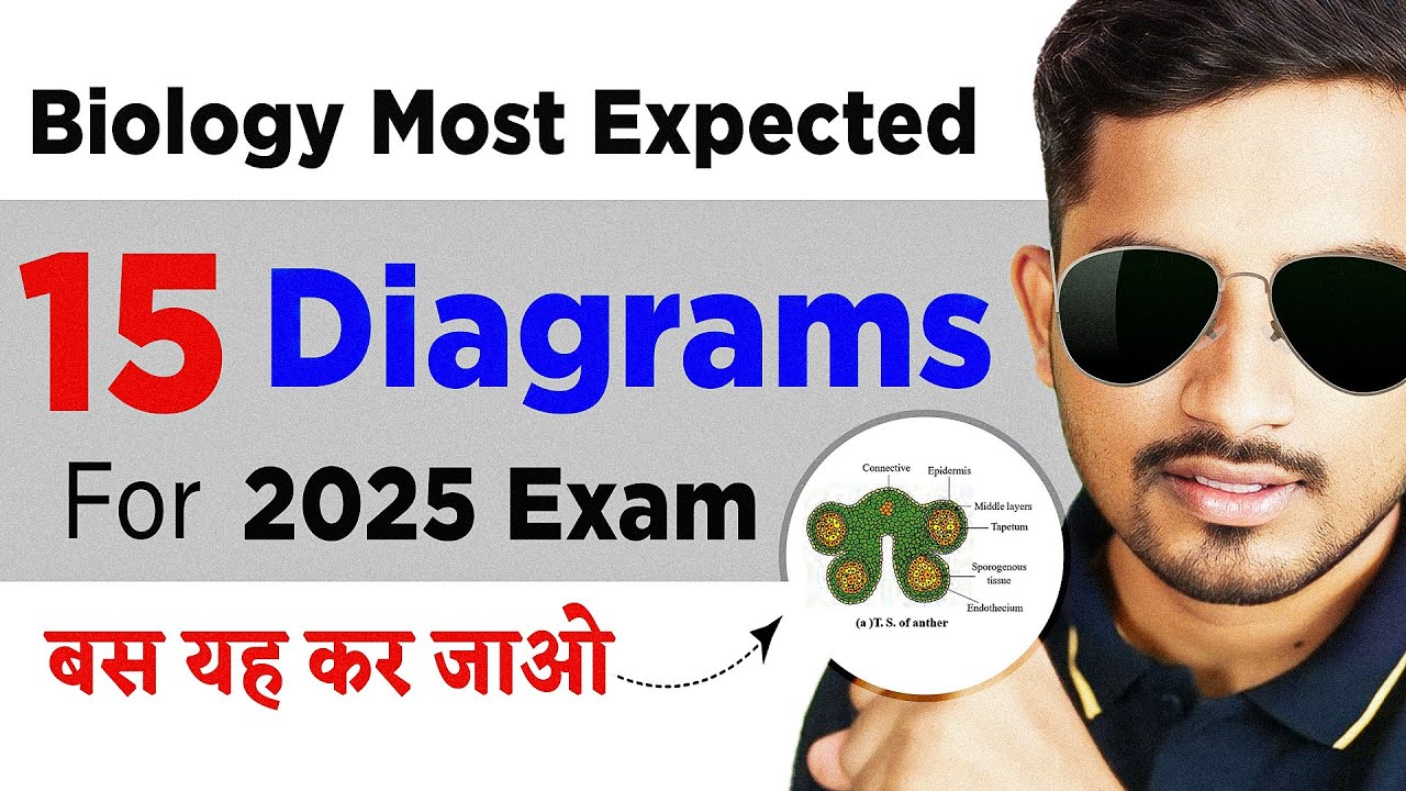 Class 12 Biology: 15 Must-Know Diagrams to Score 10+ Marks in Boards