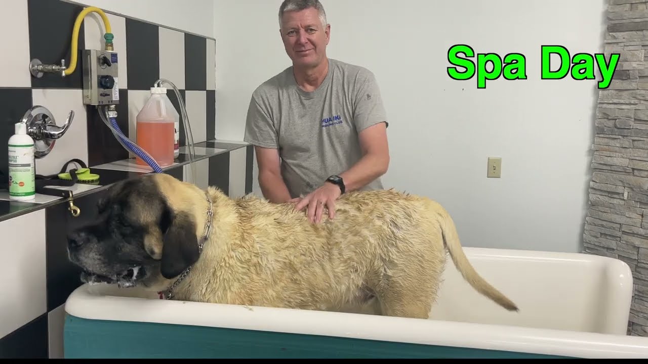 Winning Poker Strategies: 7 Critical Hands Analyzed