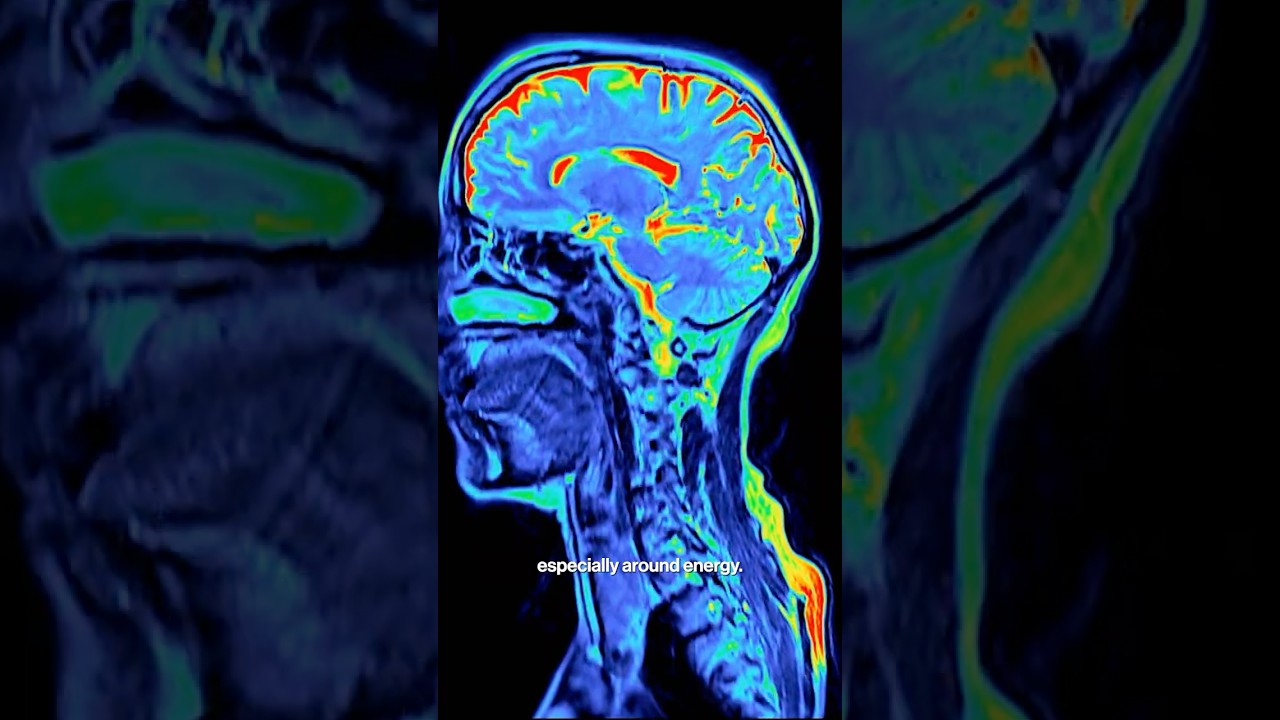 Brain Cell Computing: Silicon's Energy-Efficient Future?
