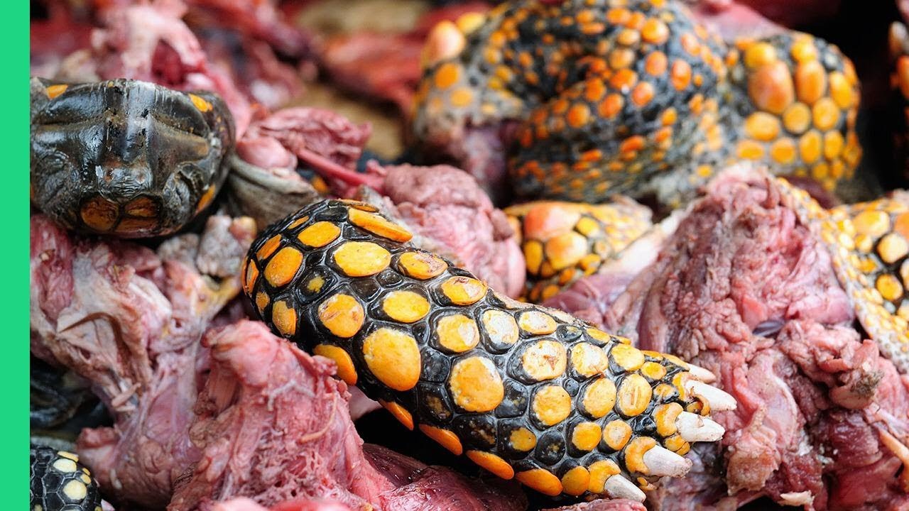 Unique Balinese Foods: Extreme Culinary Adventures Beyond the Tourist Trail