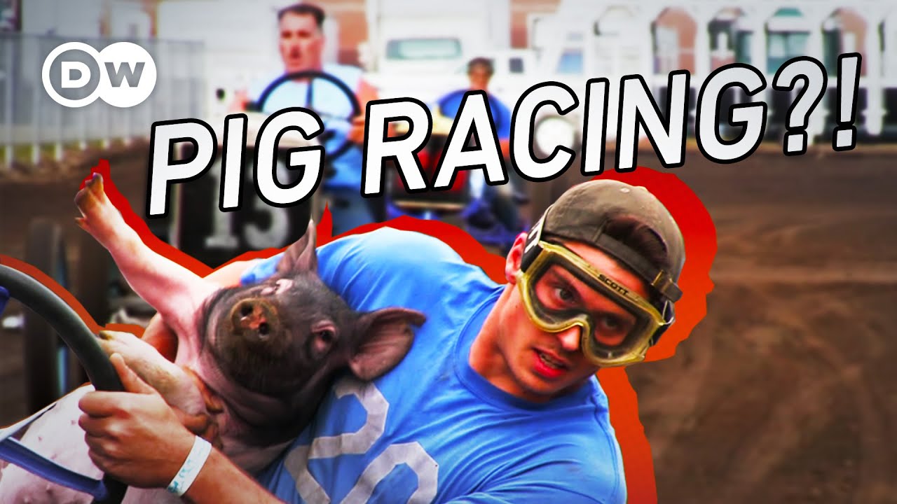 8 Most Insane Racing Series That Defy Logic (2024 Guide)