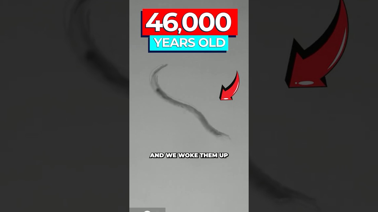 46,000-Year-Old Frozen Worms Revived: Cryobiosis Secrets Revealed