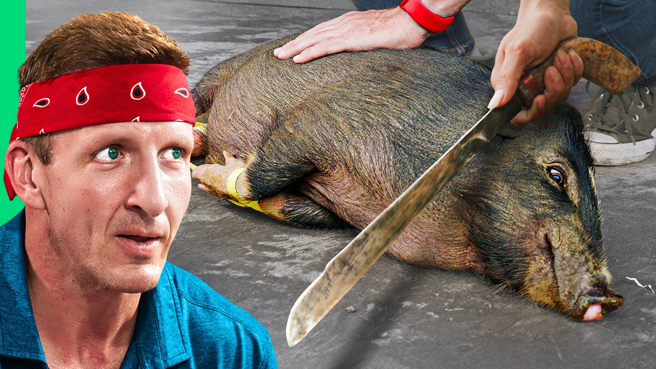 Borneo's Unique Food Cultures: Halal to Haram Delicacies