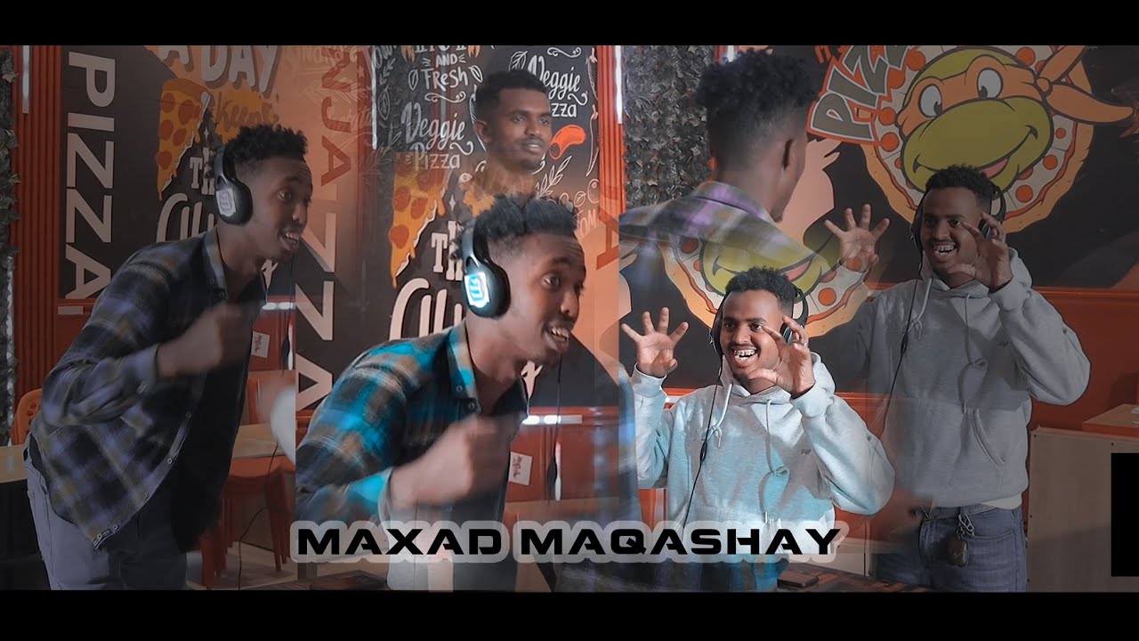 Arabic TV Entertainment: Insights and Cultural Impact