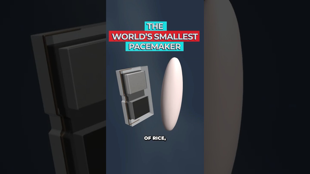 Tiny Light-Powered Pacemaker Dissolves in Body