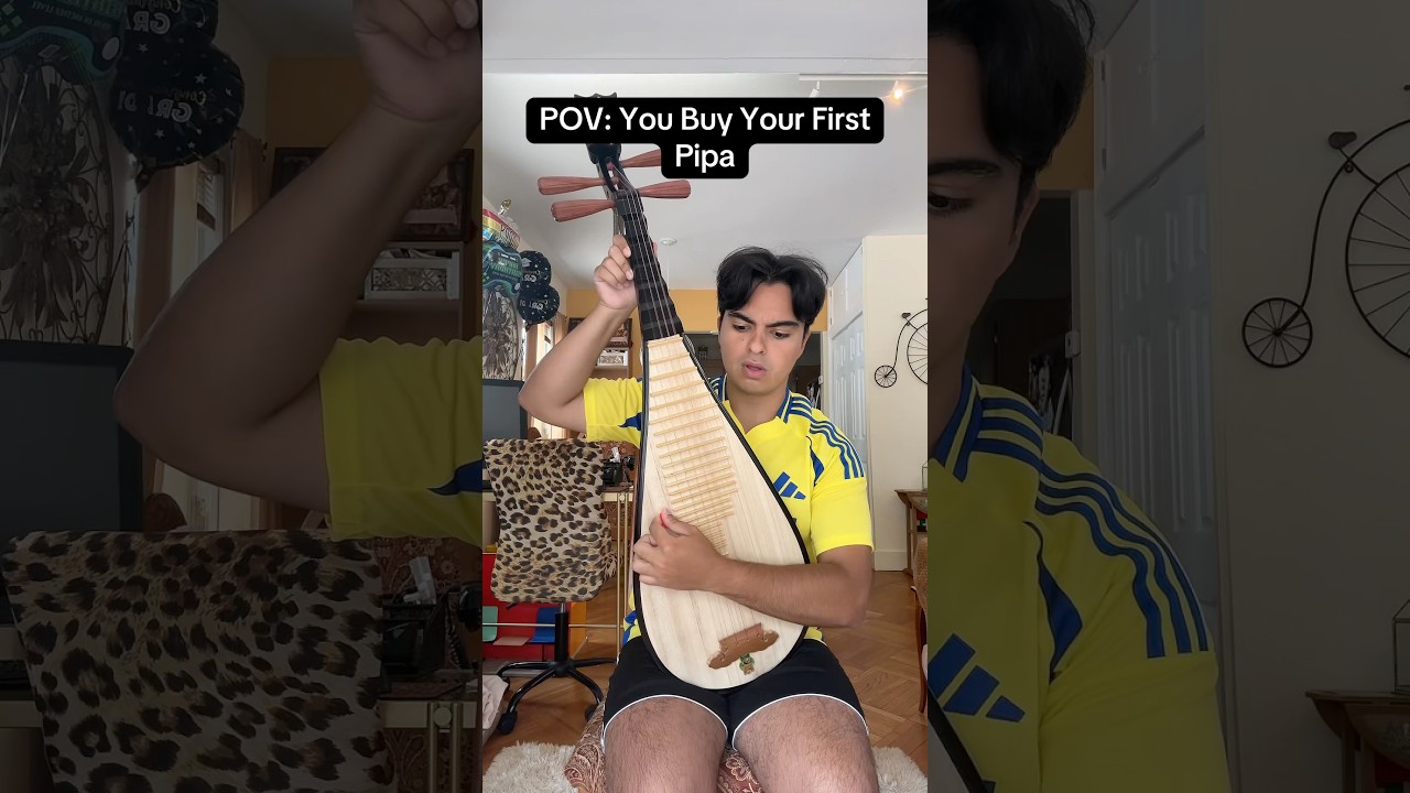Beginner Pipa Guide: Hold, Play & Choose Your First Instrument