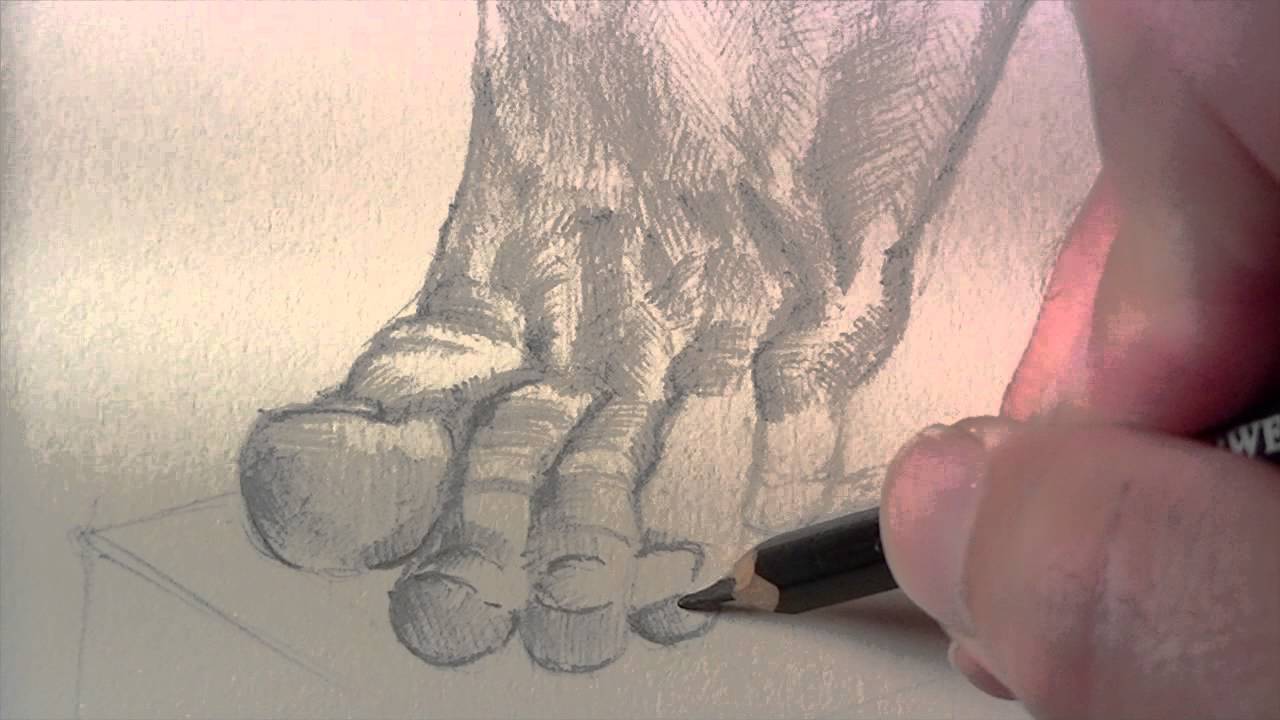 Master Graphite Pencil Hatching: Form & Value Techniques