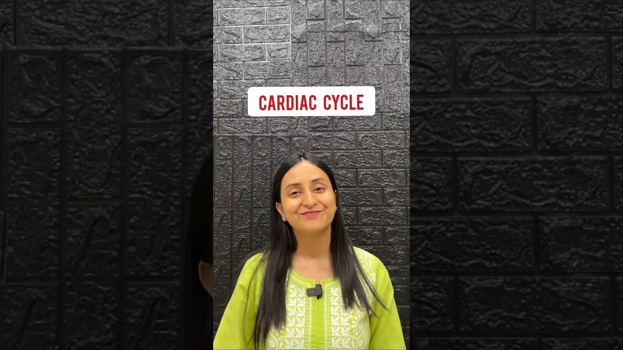 Understanding the 3 Stages of the Cardiac Cycle in 2 Minutes