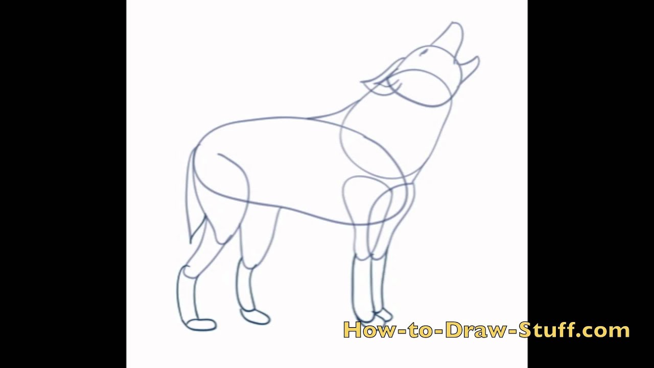 How to Draw a Wolf: Step-by-Step Guide for Beginners